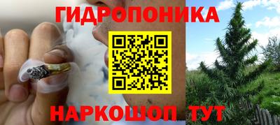 jwh Донецк