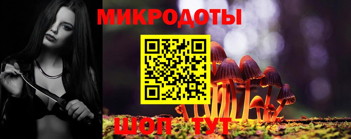 где найти наркотики  Вход с VPN  Нерюнгри  Галлюциногенные грибы Cubensis 